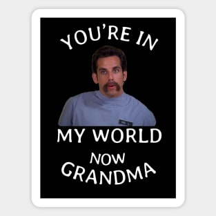 You're in my world now Grandma Magnet